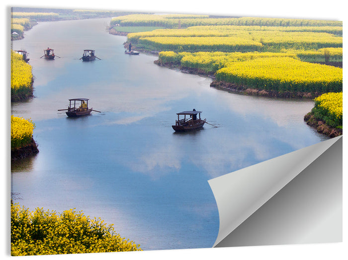 Spring River Rowboats in Rapeseed Fields Wall Art as a poster print