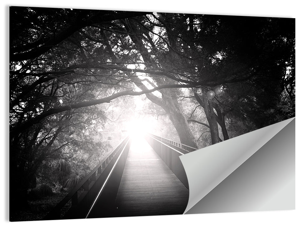 Foggy Forest Bridge Wall Art