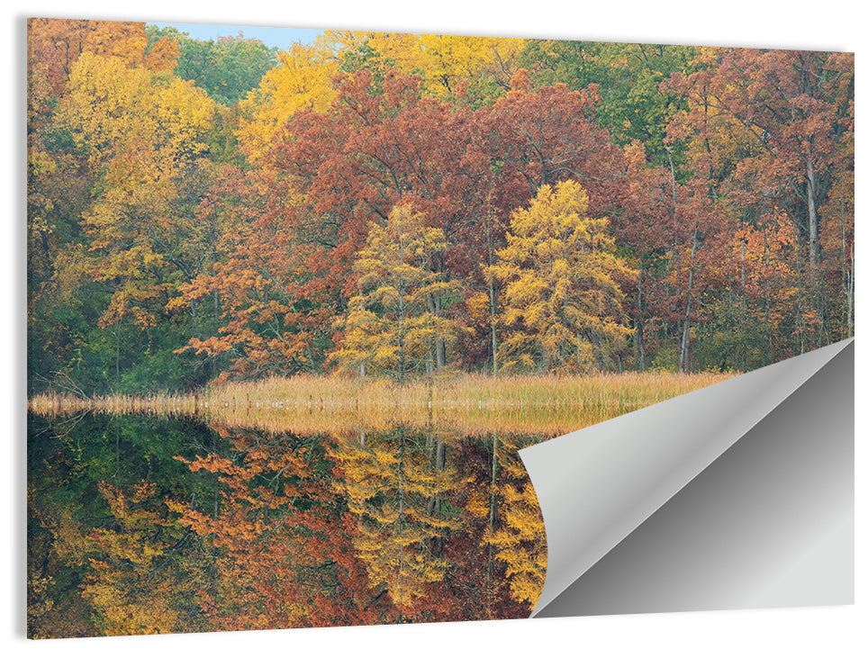 Douglas Lake Autumn Reflection Wall Art
