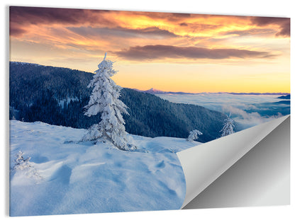 Carpathian Sunrise Wall Art