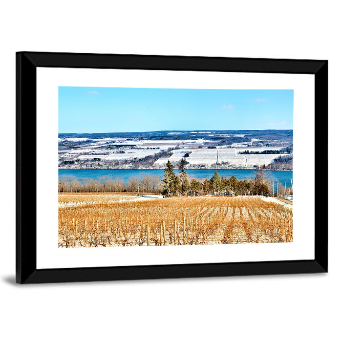 Seneca Lake Vineyard Wall Art as a framed print