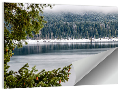 Lake Kachess Foggy Shore Wall Art