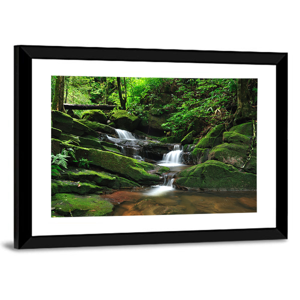 Mossy Rainforest Stream Wall Art