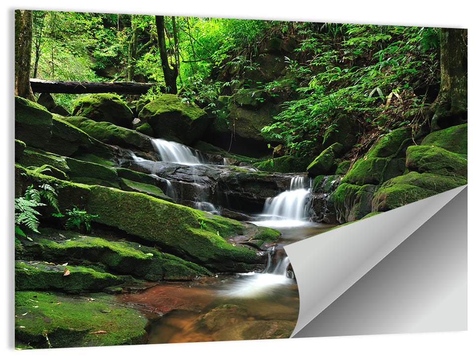 Mossy Rainforest Stream Wall Art