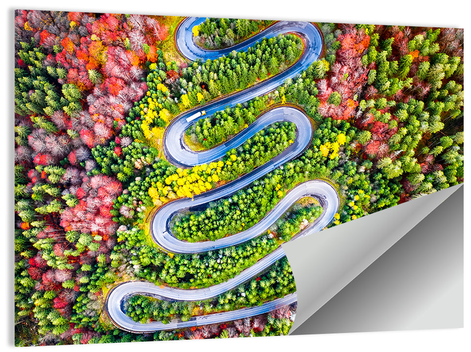 Cheia Autumn Winding Road Wall Art