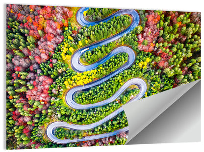 Cheia Autumn Winding Road Wall Art