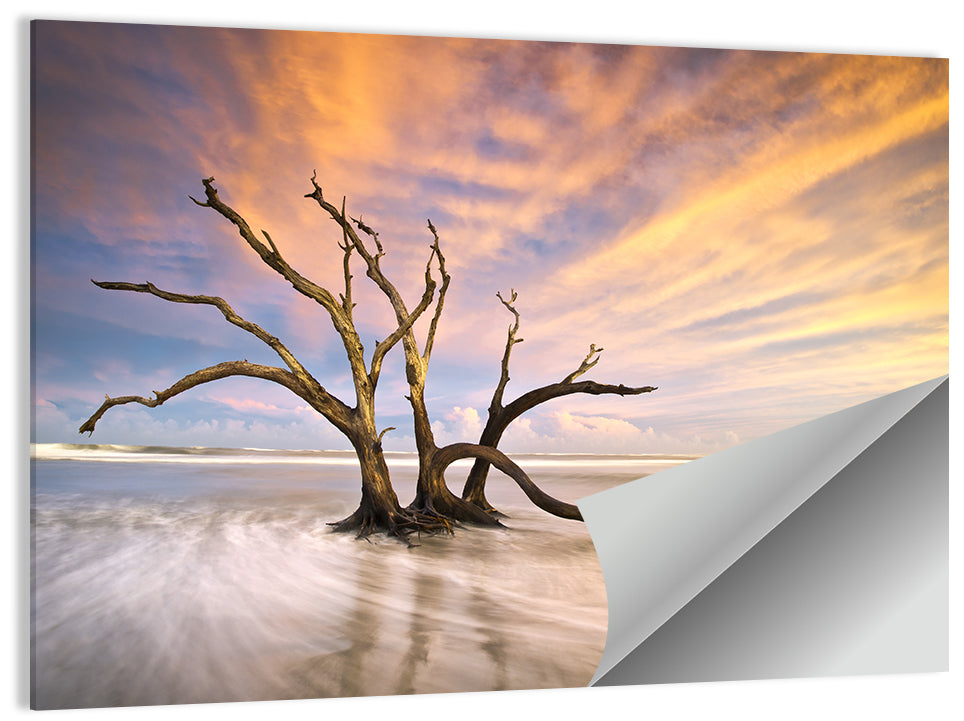 Folly Beach Driftwood Sunset Wall Art