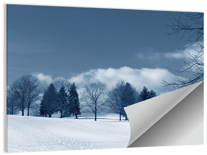 Snowy Winter Land Wall Art