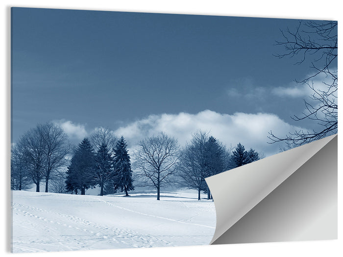 Snowy Field with Tracks Wall Art as a poster print