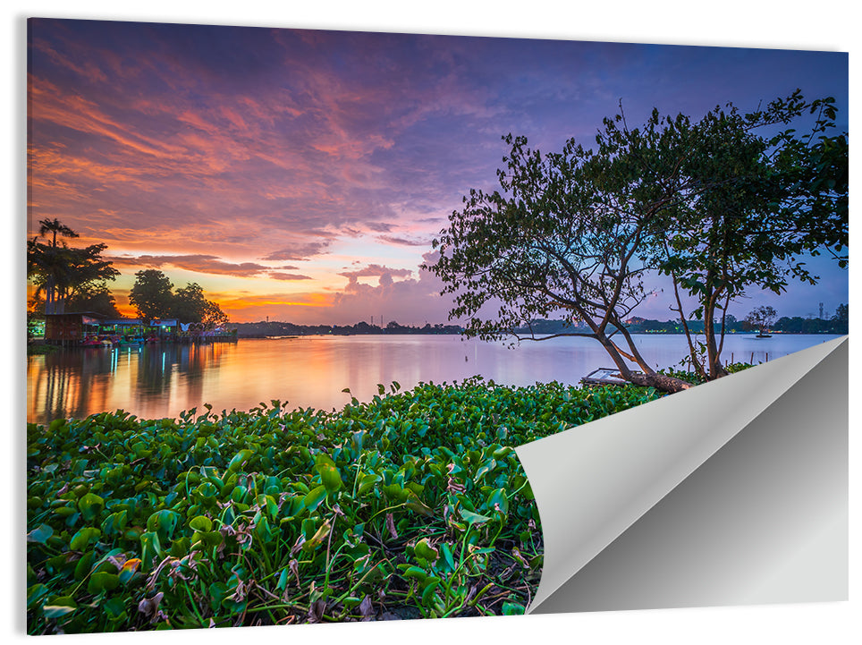 Cipondoh Lake Hyacinth Sunset Wall Art