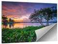 Cipondoh Lake Hyacinth Sunset Wall Art