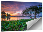 Cipondoh Lake Hyacinth Sunset Wall Art