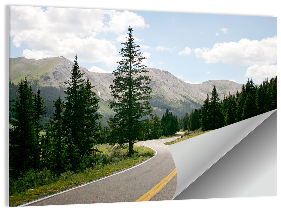 Colorado Mountain Road Wall Art