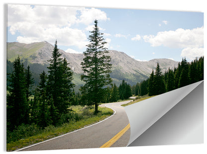 Colorado Mountain Road Wall Art