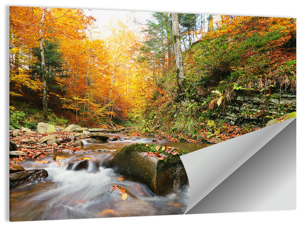 Forest Stream in Autumn Wall Art