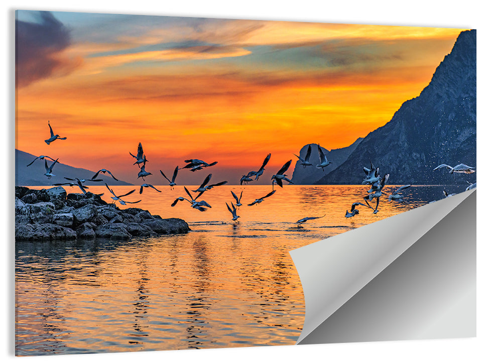 Lake Garda Sunset Birds Wall Art