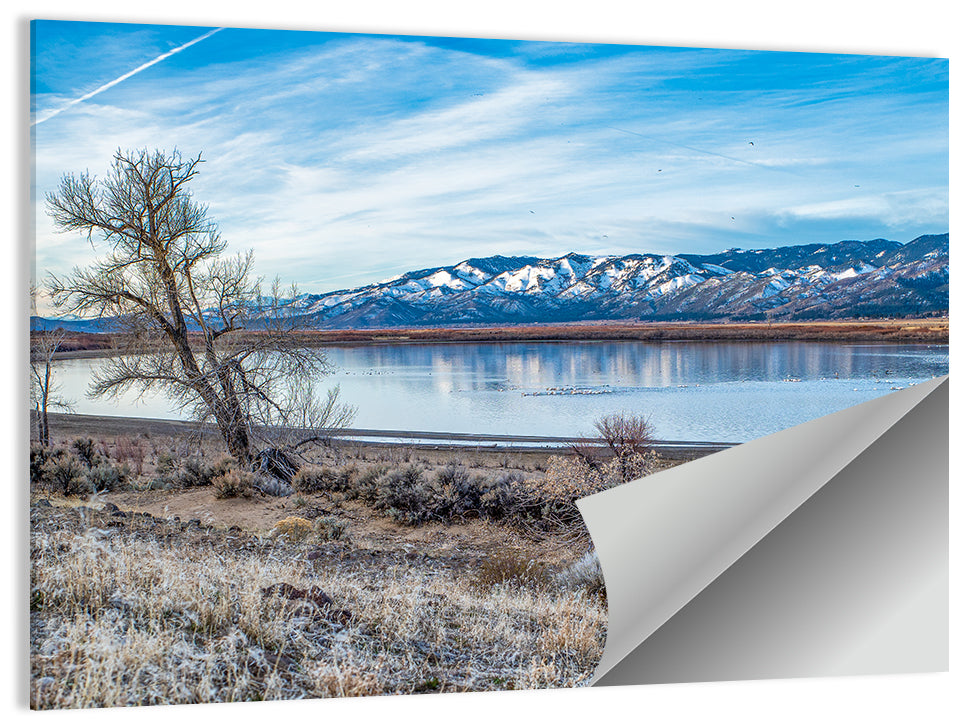 Winter Washoe Lake Morning Wall Art