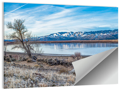 Winter Washoe Lake Morning Wall Art