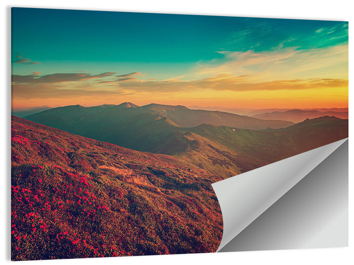 Alpine Rhododendrons at Golden Sunrise Wall Art as a poster print