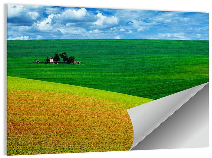Golden Field and Green Hillside Wall Art as a poster print