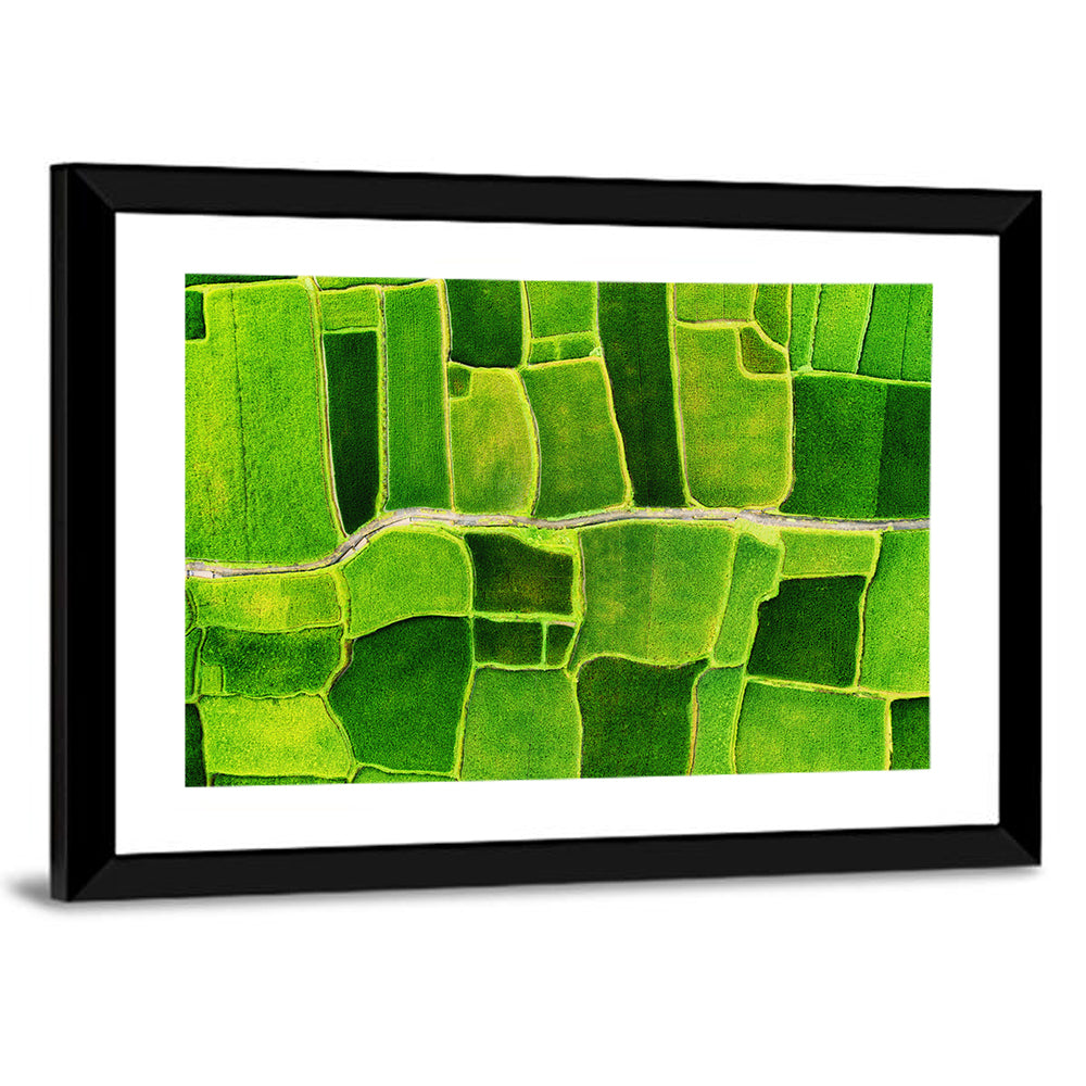 Verdant Rice Terrace Grid Wall Art