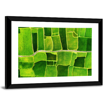 Verdant Rice Terrace Grid Wall Art