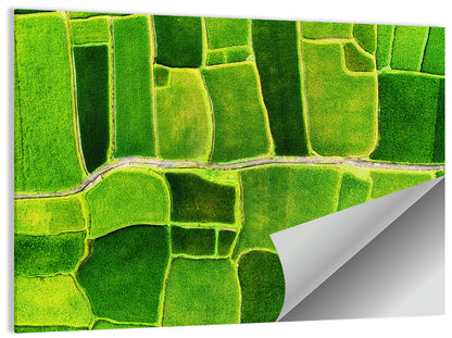 Verdant Rice Terrace Grid Wall Art