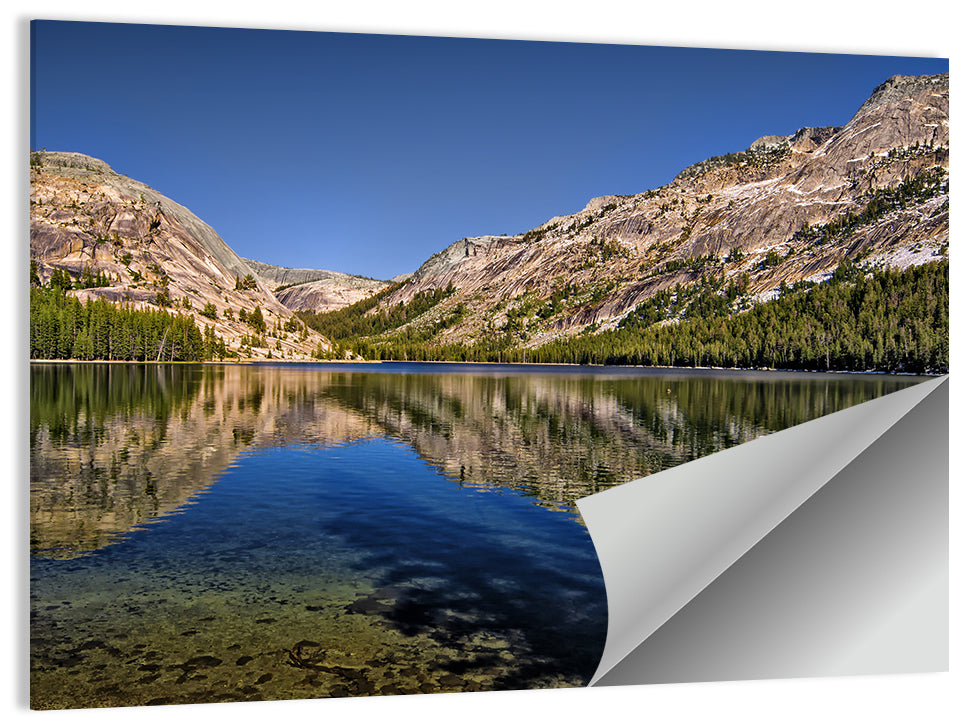 Tenaya Lake Reflection Wall Art