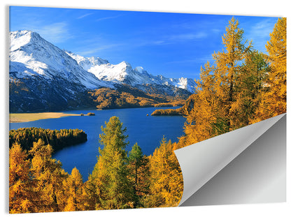 Silsersee Autumn Vista Wall Art