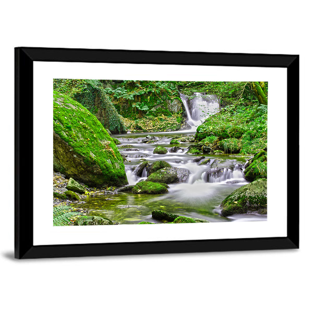 Mossy Forest Stream Wall Art