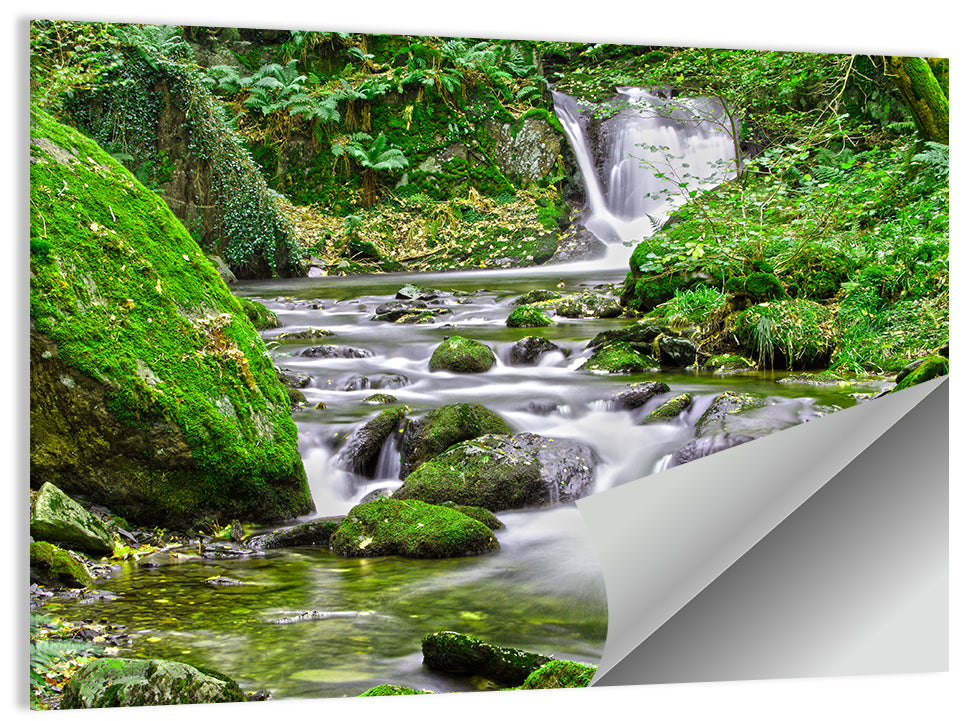Mossy Forest Stream Wall Art