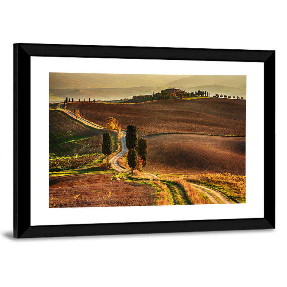 Val D’orcia Winding Golden Road Wall Art
