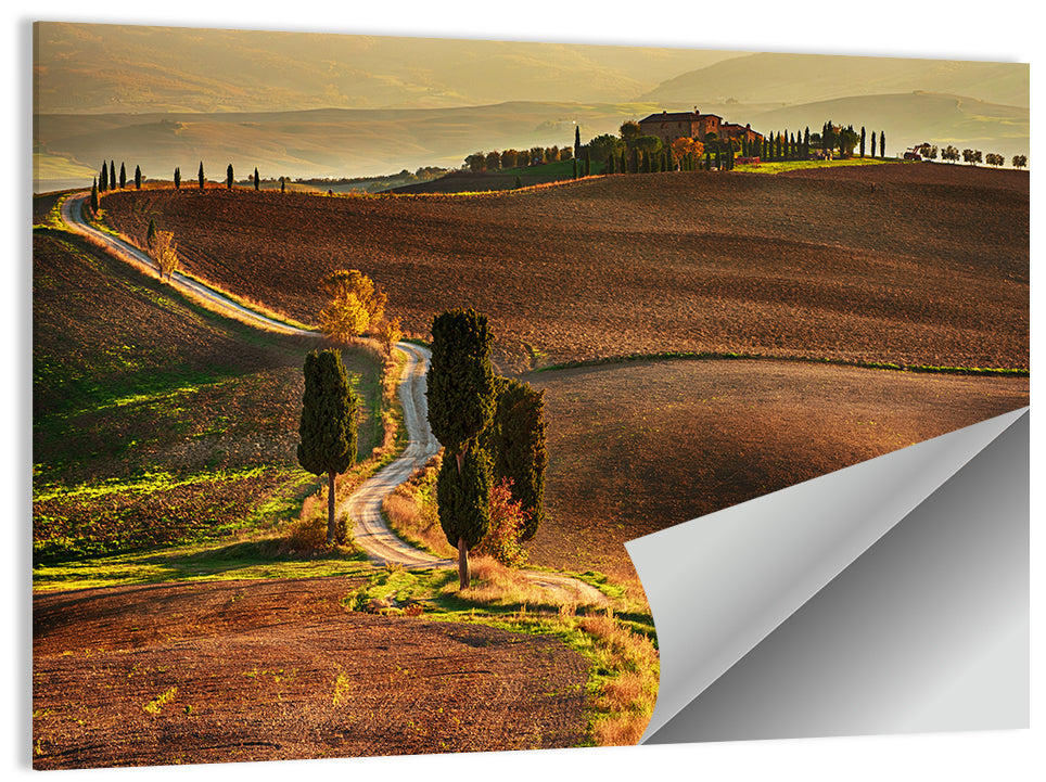 Val D’orcia Winding Golden Road Wall Art