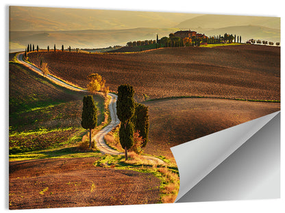 Val D’orcia Winding Golden Road Wall Art