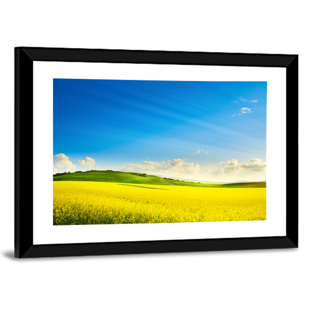 Rapeseed Field and Rolling Hills Under Blue Sky Wall Art