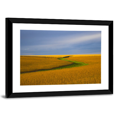 Golden Hour Soybean Field Wall Art