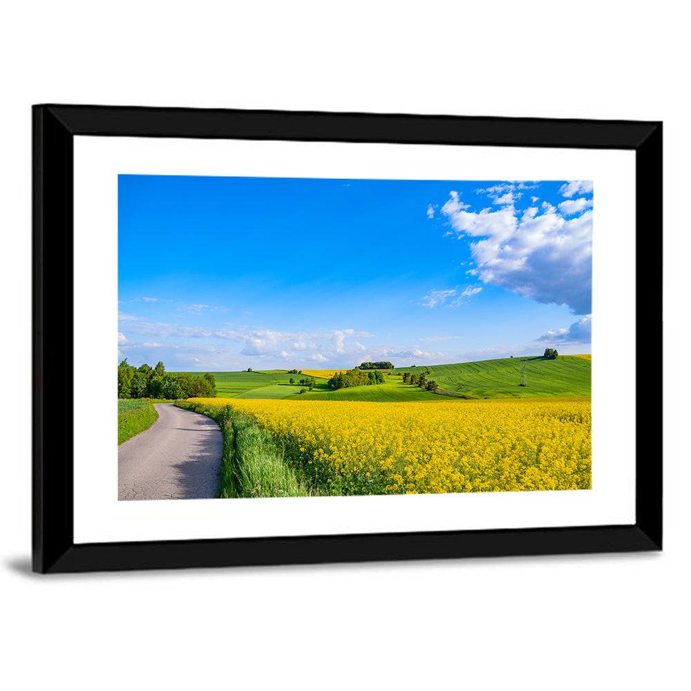 Rapeseed Field Road Under Blue Sky Wall Art