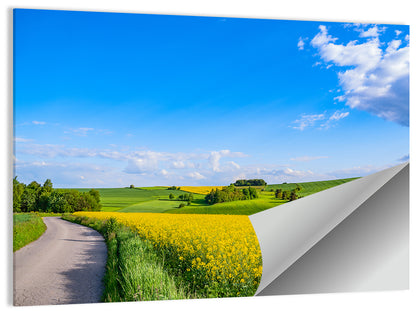 Rapeseed Field Road Under Blue Sky Wall Art