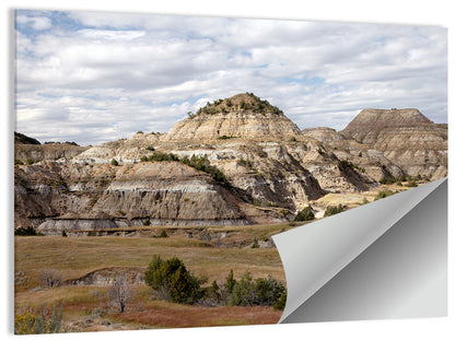 Theodore Roosevelt Badlands Vista Wall Art
