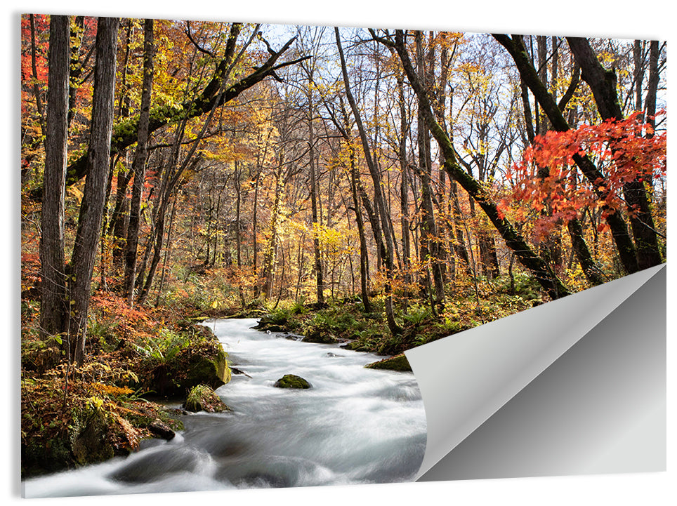 Sunlit Forest Stream Wall Art