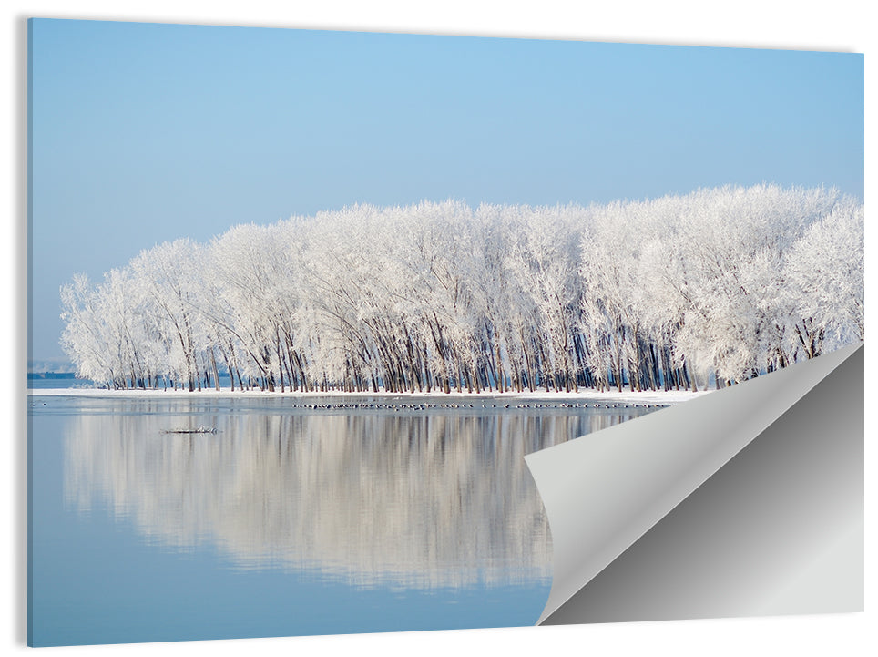 Frost Covered Lakeside Trees Wall Art