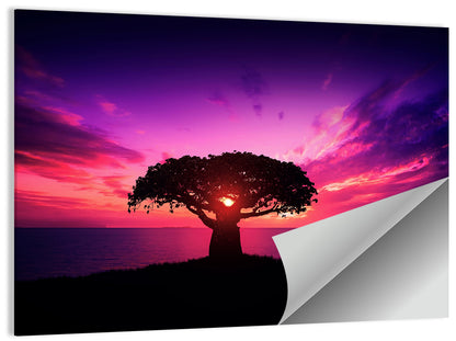 Baobab Sunset Silhouette Wall Art