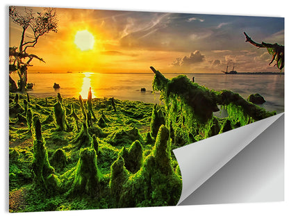 Mangrove Roots Wall Art