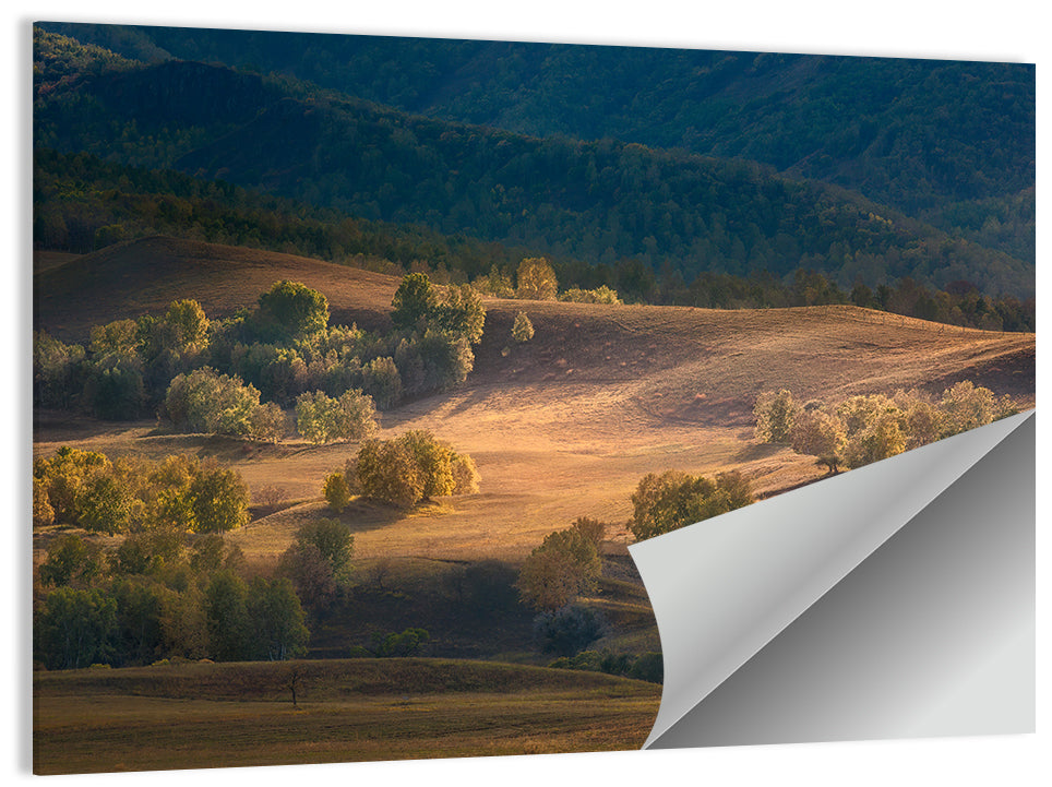 Bashang Plateau Golden Hour Wall Art