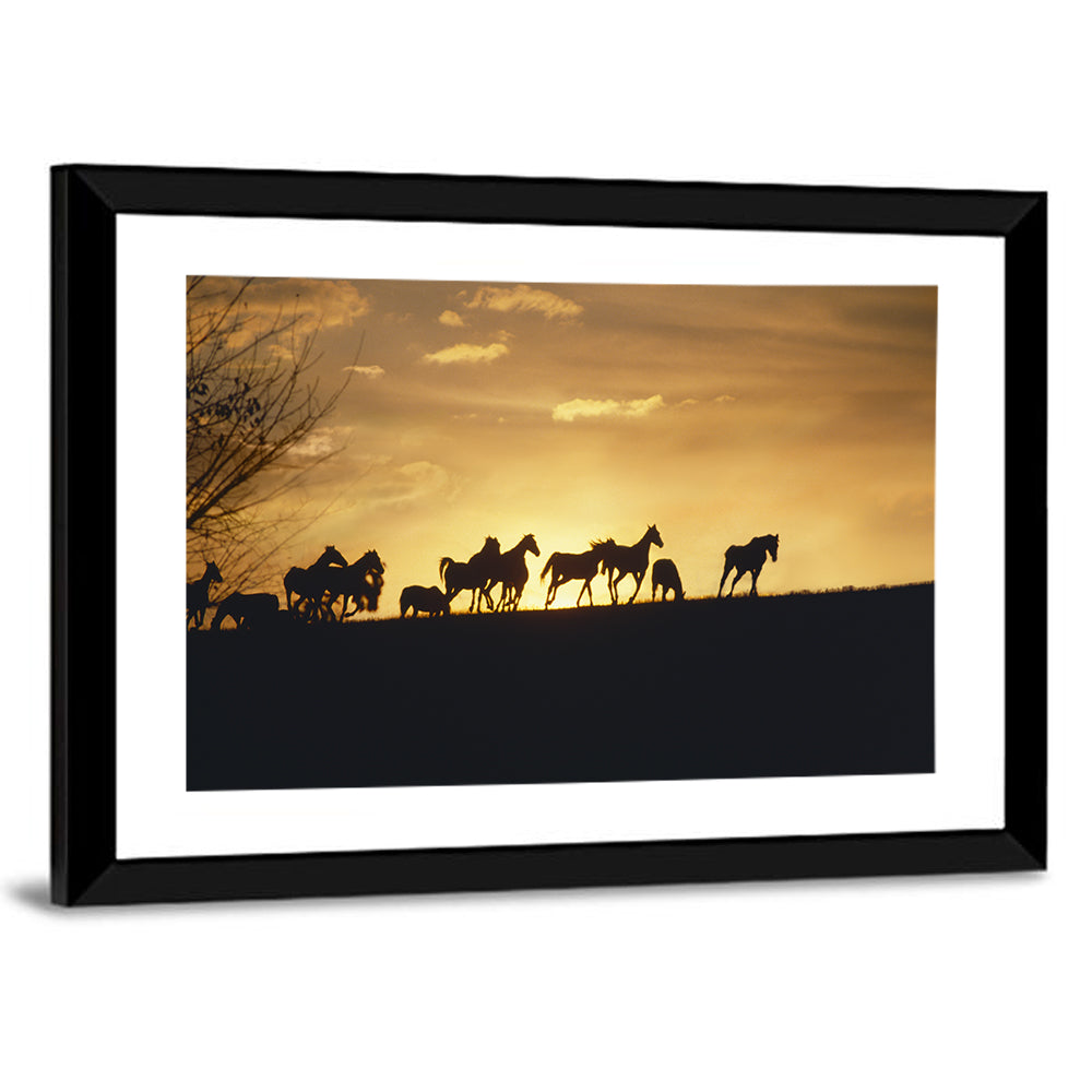 Mustang Silhouettes at Sunset Wall Art