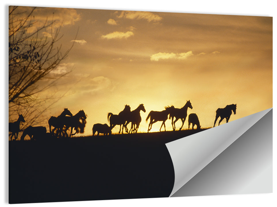 Mustang Silhouettes at Sunset Wall Art