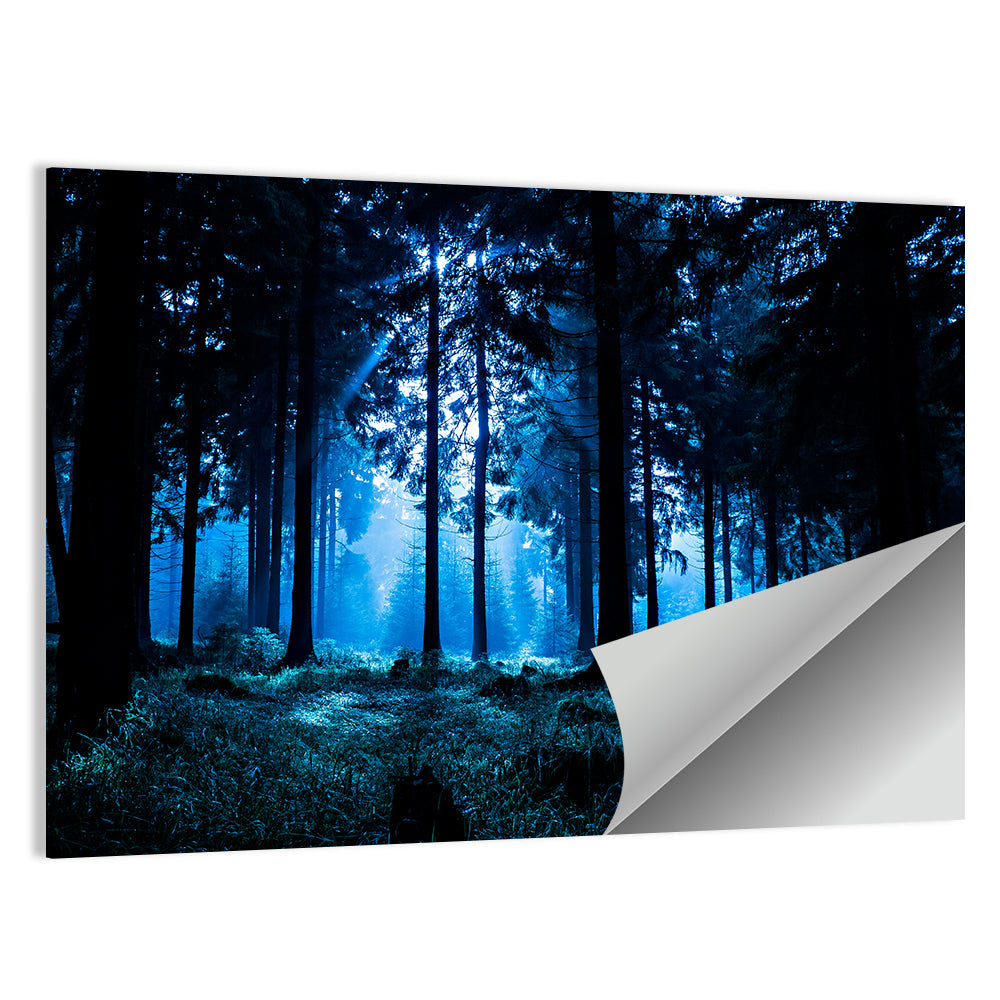 Thuringia Forest at Dusk Wall Art