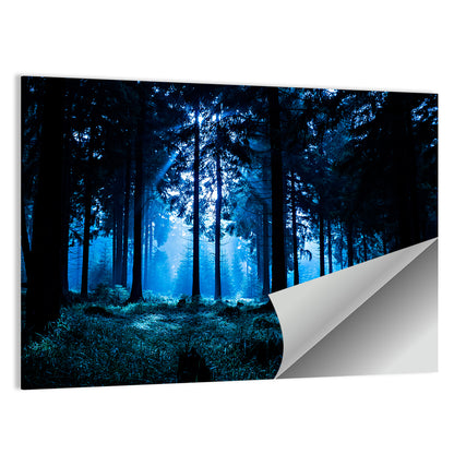 Thuringia Forest at Dusk Wall Art