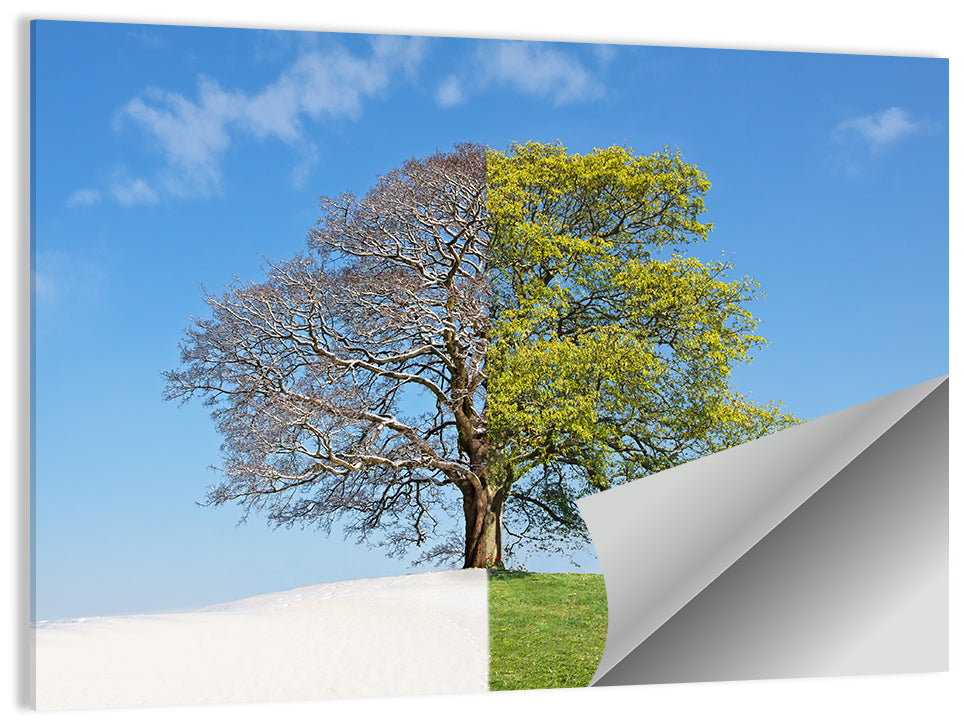 Split Season Tree Landscape Wall Art