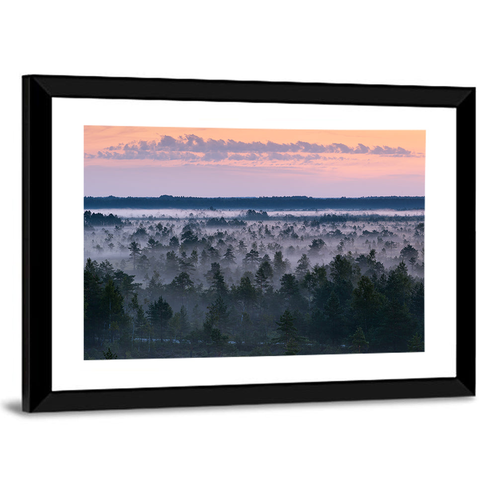 Estonian Misty Pine Landscape Wall Art